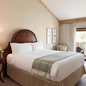 King Room Garden View